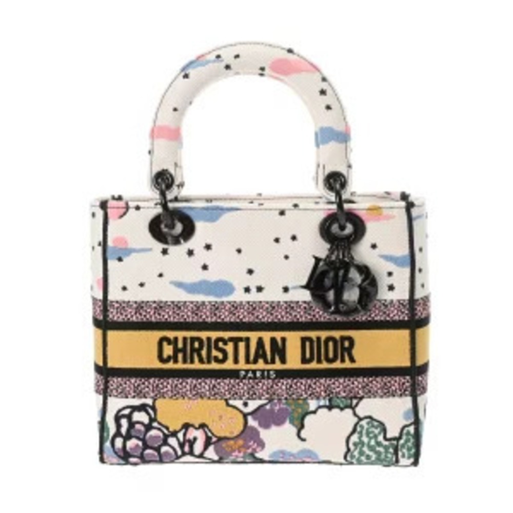 Dior LADY LITE Bag Multicolor Canvas Handbag